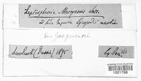Image Associated With the Occurence